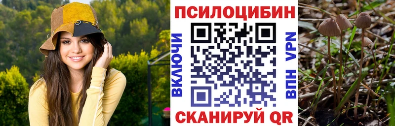 Псилоцибиновые грибы GOLDEN TEACHER  Мещовск 